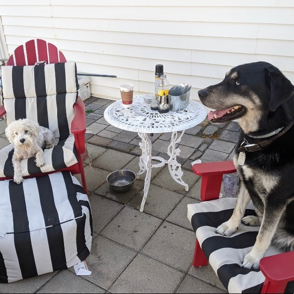 Meet your Posher, Cassie - Picture 6 of 16